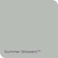 Picture of DULUX WEATHERGUARD SUMMER SHOWERS 20L