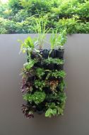 WATEX EXPANDABLE GREENWALL KIT SOUTH AFRICA