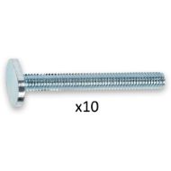 TOOLMATE T-BOLT M8X75MM 10 PCE STRAND HARDWARE SOUTH AFRICA